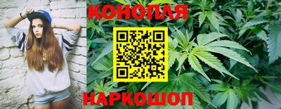 мдпв Донской