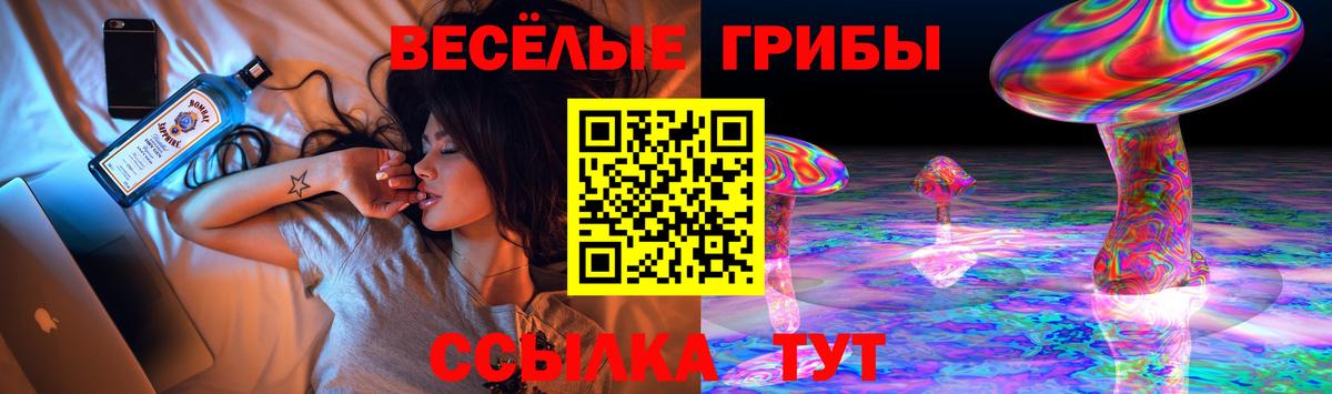 Нижний Тагил  Галлюциногенные грибы Magic Shrooms  купить наркотики сайты  Вход с VPN 