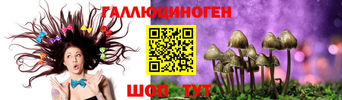 Галлюциногенные грибы MAGIC MUSHROOMS Нижний Тагил